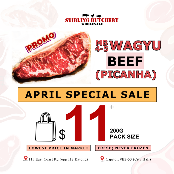 _A5 Wagyu Picana Promo (9)